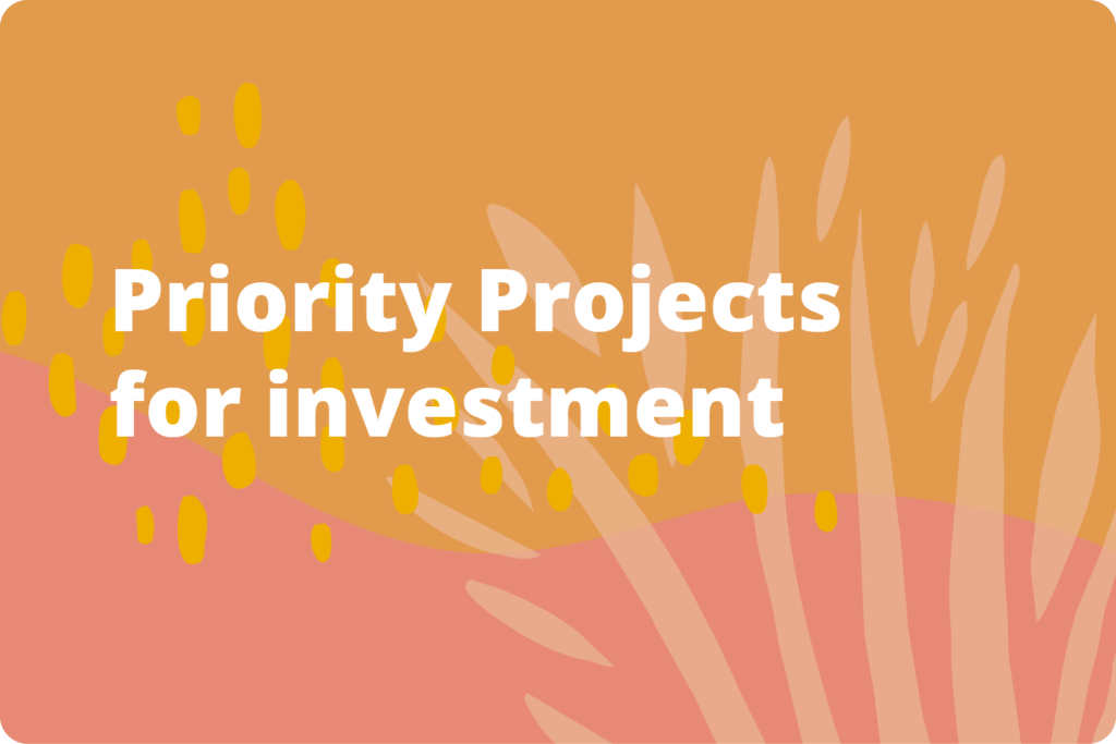 Priority projects for investment